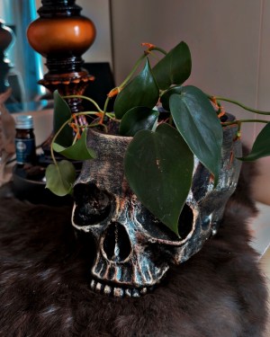 skull planter