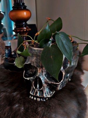 skull planter