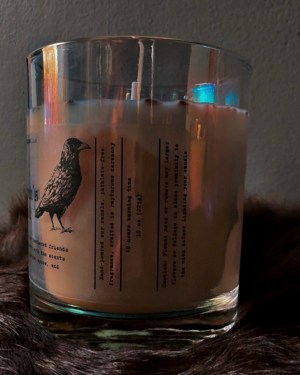 raven's rook | 10 oz ritual candle