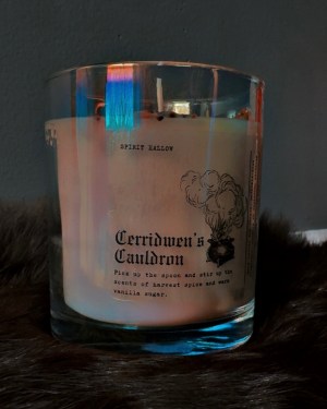 cerridwen's cauldron | 10 oz ritual candle