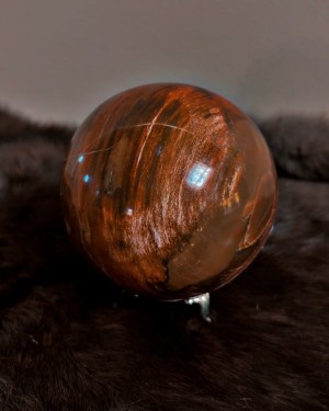 petrified wood sphere | ancient grounding