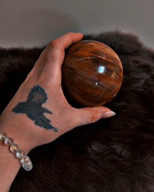 petrified wood sphere | ancient grounding