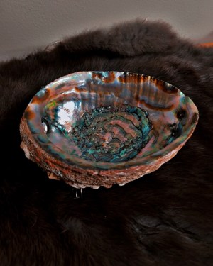 natural abalone shell | smudge dish