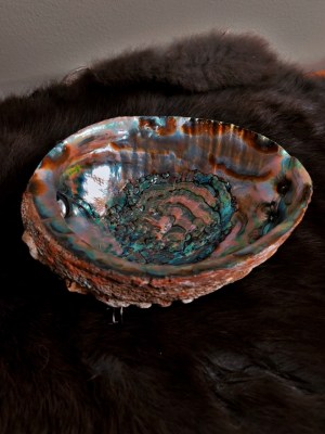 natural abalone shell | smudge dish