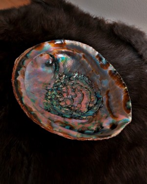 natural abalone shell | smudge dish