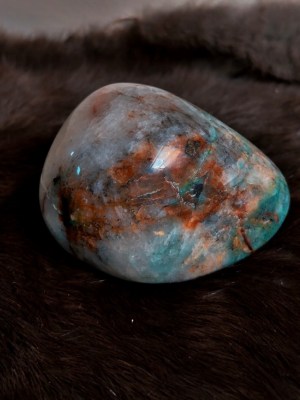 quantum quattro freeform