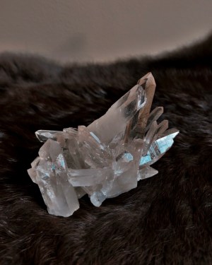 img 4552