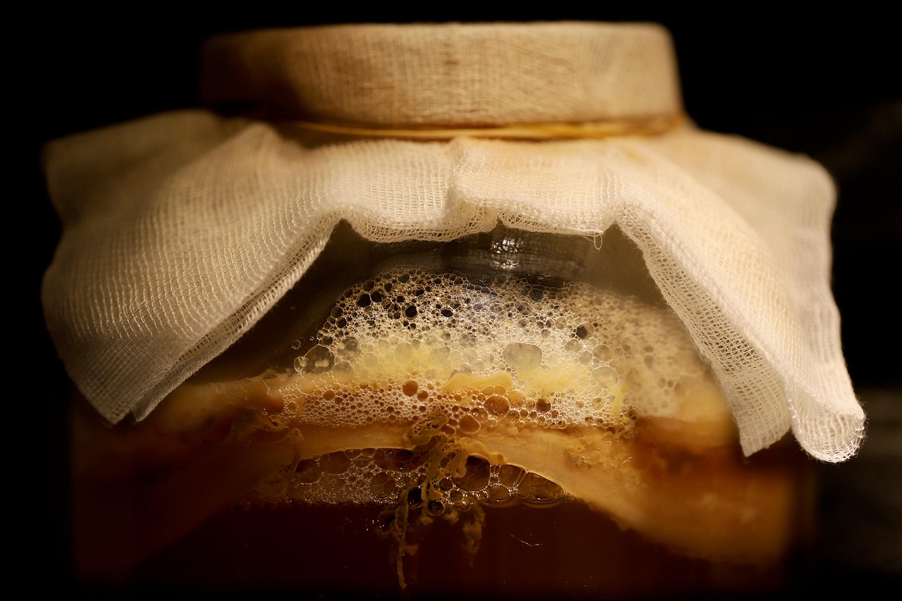 kombucha, fermented drink, fermentation, kombucha mushroom, scoby, tea mushroom, ferment, kombucha, kombucha, kombucha, kombucha, kombucha, fermentation, fermentation, fermentation, ferment