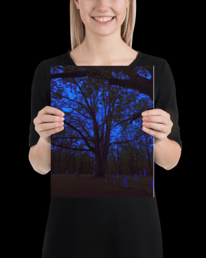 bliss — fine art print