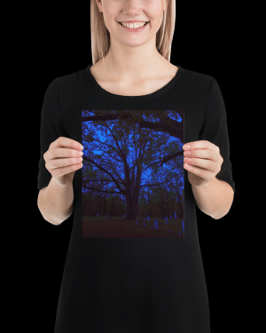 bliss — fine art print